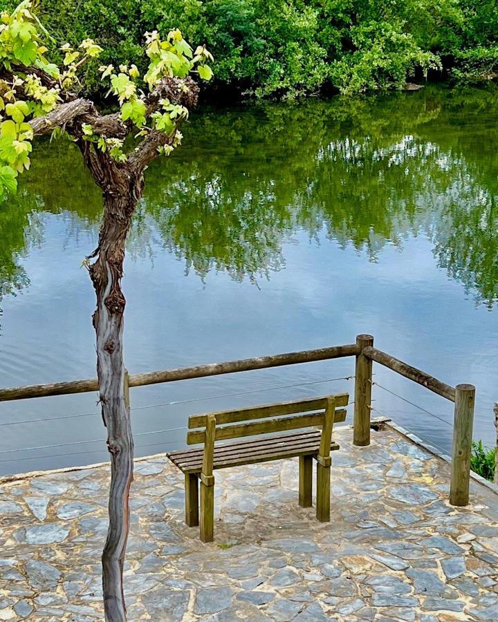 Casa Do Rio Alva Casa de Férias Arganil